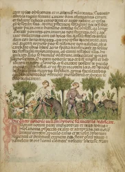 Aimo ja Vermondo tappavat kaksi villisikaa